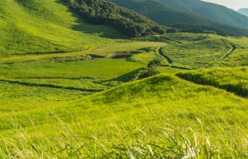 Caminar per ajudar