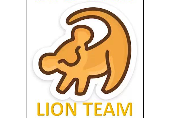 LION TEAM