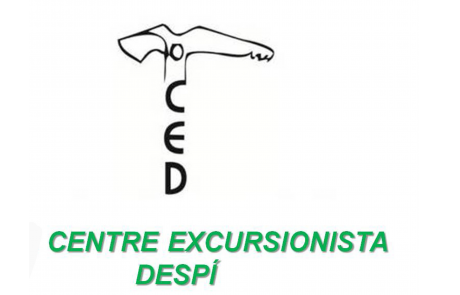 CED
