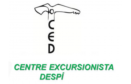 CEDSJD