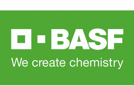 Los 14 de BASF 2.0
