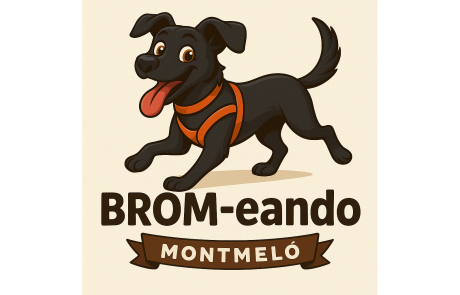 Brom-eando
